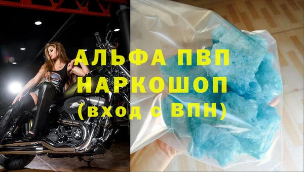 СК Володарск