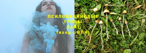дмт Абаза