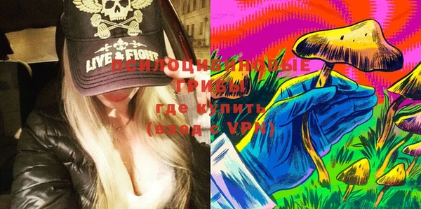дмт Абаза
