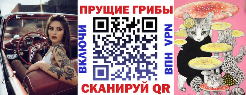 Псилоцибиновые грибы Cubensis  ОМГ ОМГ   Юрга  наркота 